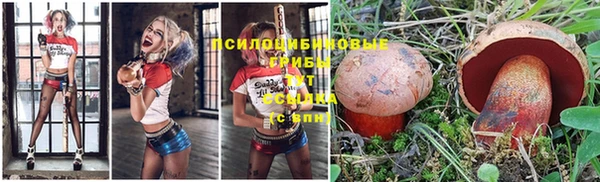 прущие крисы Приозерск