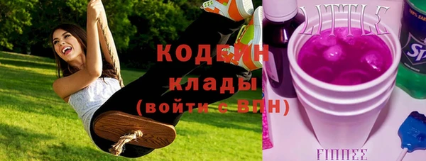 прущие грибы Вуктыл