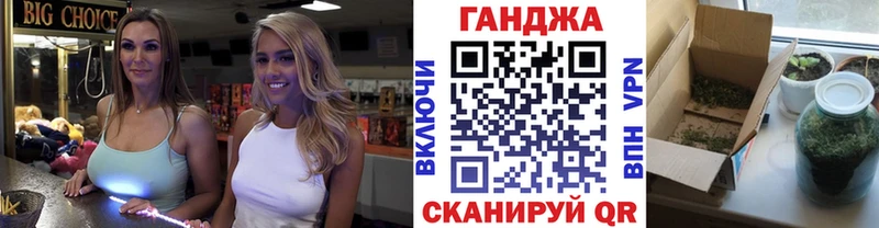 Бошки Шишки планчик  Абаза 